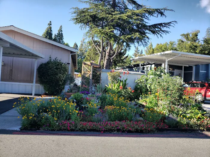 Valley Village Picture 10