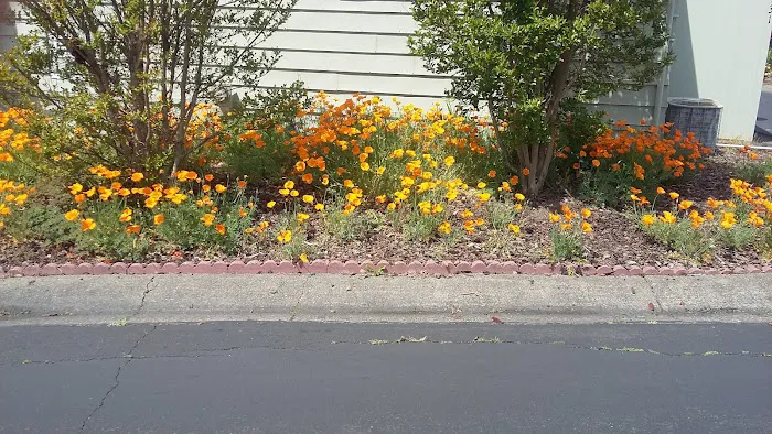 Rancho Grande Picture 7