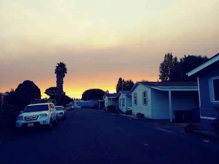 Rancho Feliz Mobile Home Park Picture 2
