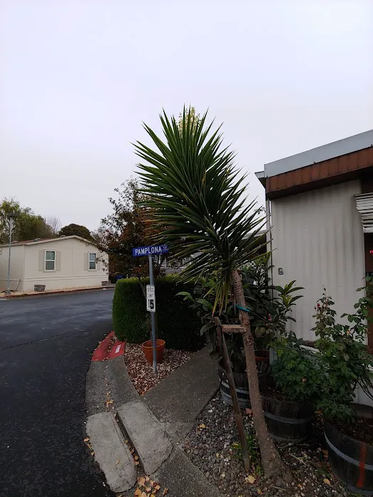 Rancho Feliz Mobile Home Park Picture 3