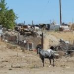 San Miguel Trailer Park