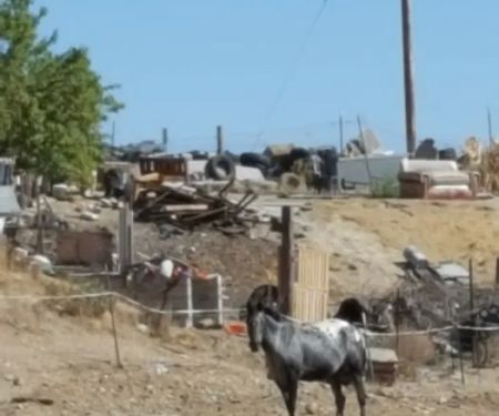 San Miguel Trailer Park