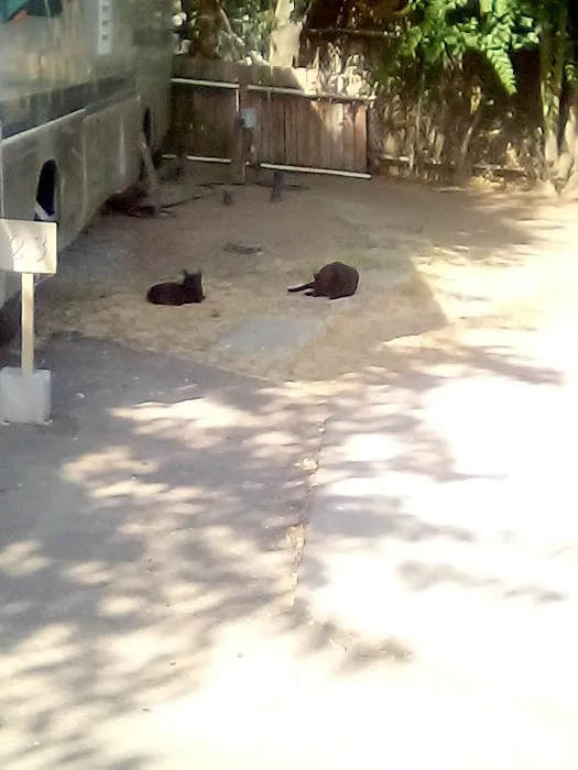 Acorn Mobile Village Picture 4