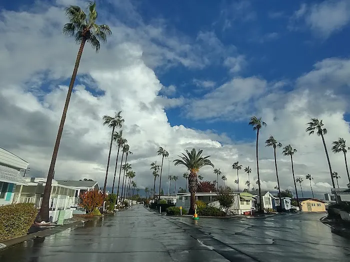 Golden Palms Mobile Home Estates Picture 3