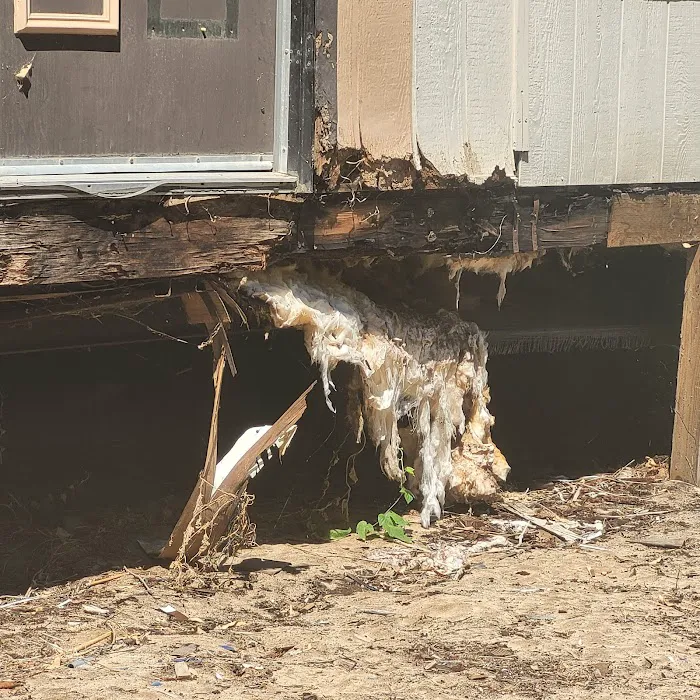 Bellevue Mobile Home Park Picture 3