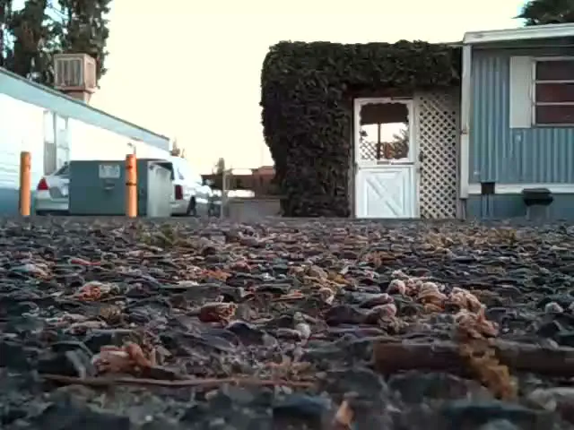 Bellevue Mobile Home Park Picture 5