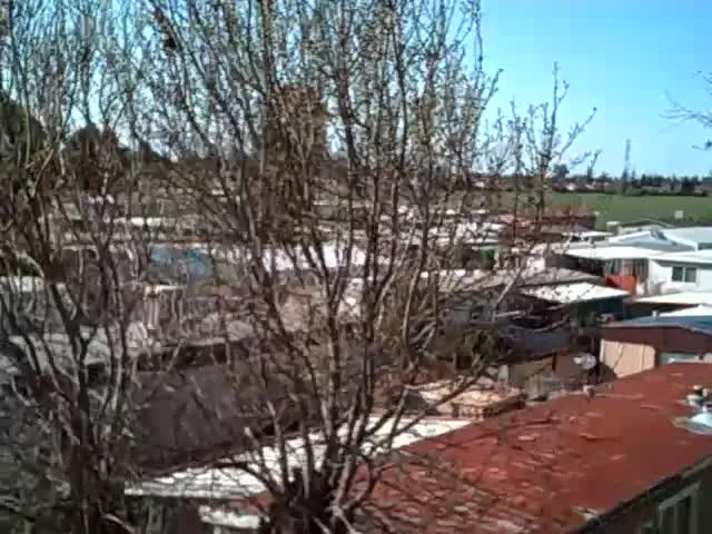 Bellevue Mobile Home Park Picture 6