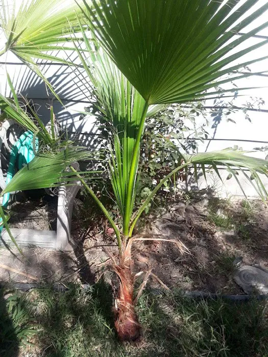 Casa De Amigo's Mobile Home Park Picture 1