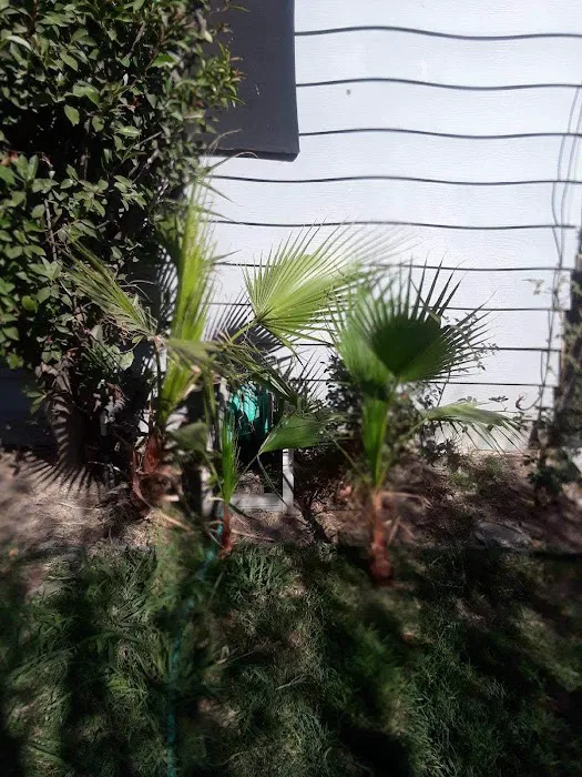 Casa De Amigo's Mobile Home Park Picture 7