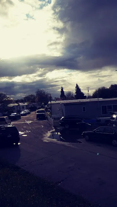 Twin Cypress Mobile Home Park space 37 Picture 4