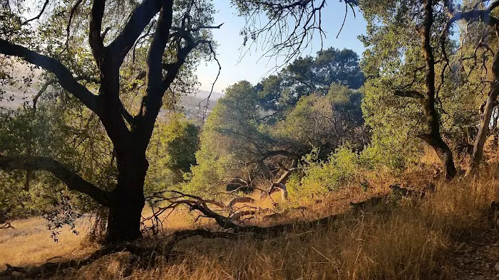 Santa Rosa Mobile Estates Picture 1