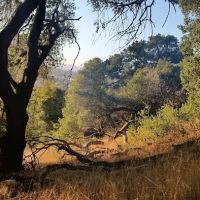 Santa Rosa Mobile Estates ico