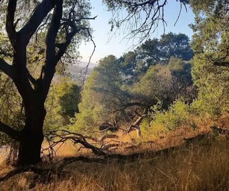 Santa Rosa Mobile Estates