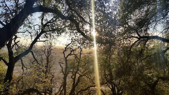 Santa Rosa Mobile Estates Picture 6