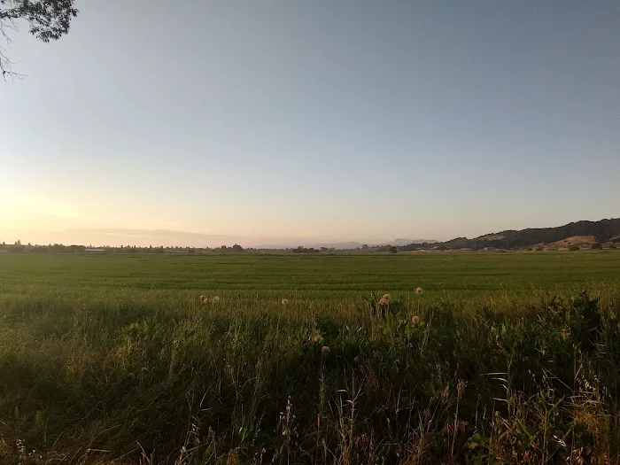Santa Rosa Mobile Estates Picture 10