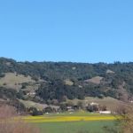 El Crystal Mobile Home Park