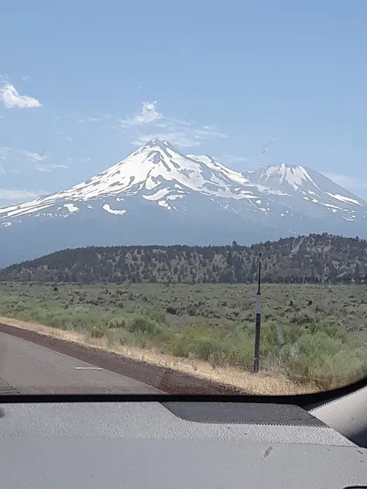 Newells Mobile City Picture 5