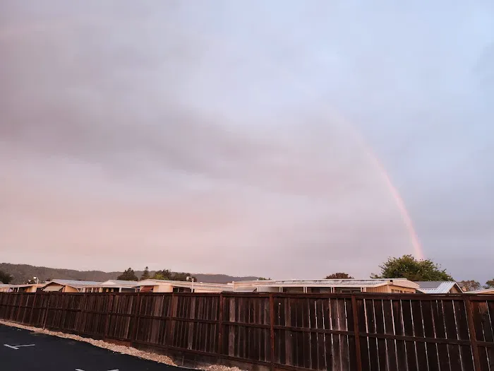 Newells Mobile City Picture 1