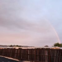 Newells Mobile City ico