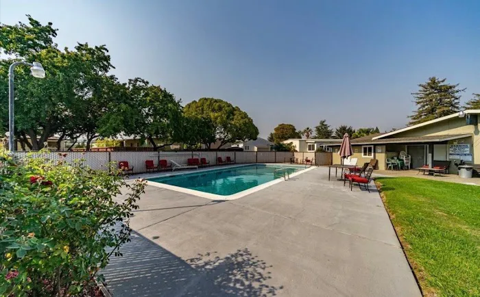 Newells Mobile City Picture 3