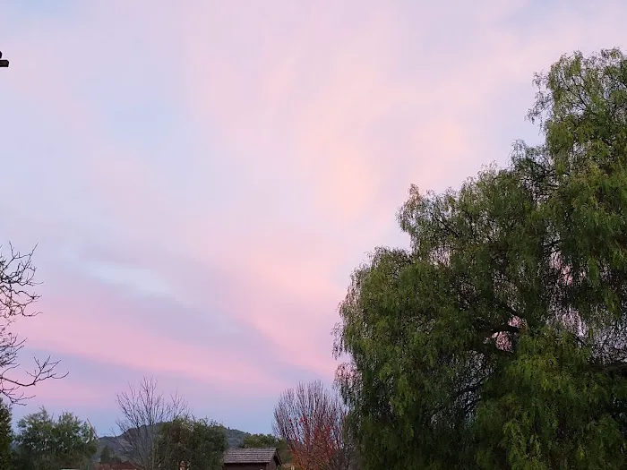 Newells Mobile City Picture 9