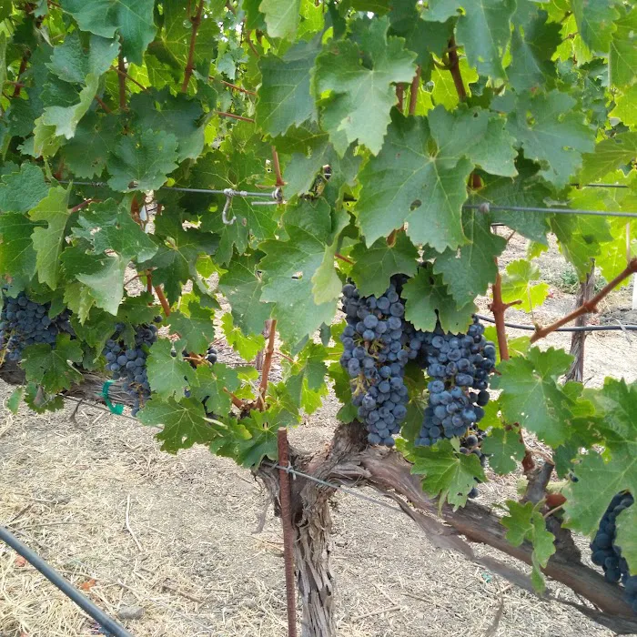 Rancho De Napa Mobile Estates Picture 2