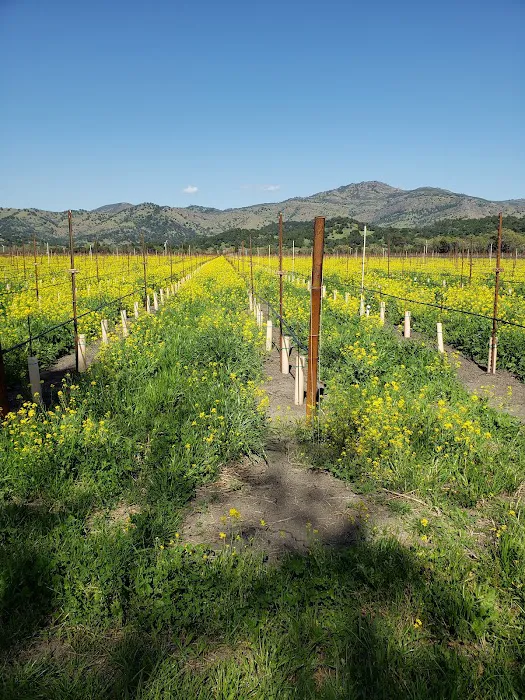 Rancho De Napa Mobile Estates Picture 5