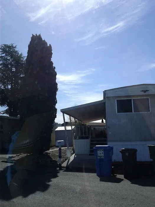 Lamplighter Mobile Home Park Picture 4