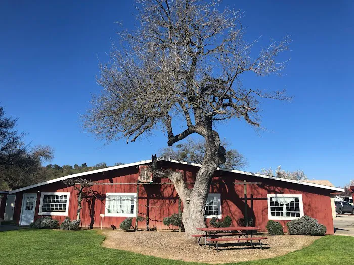 Paso Robles RV Ranch Picture 3