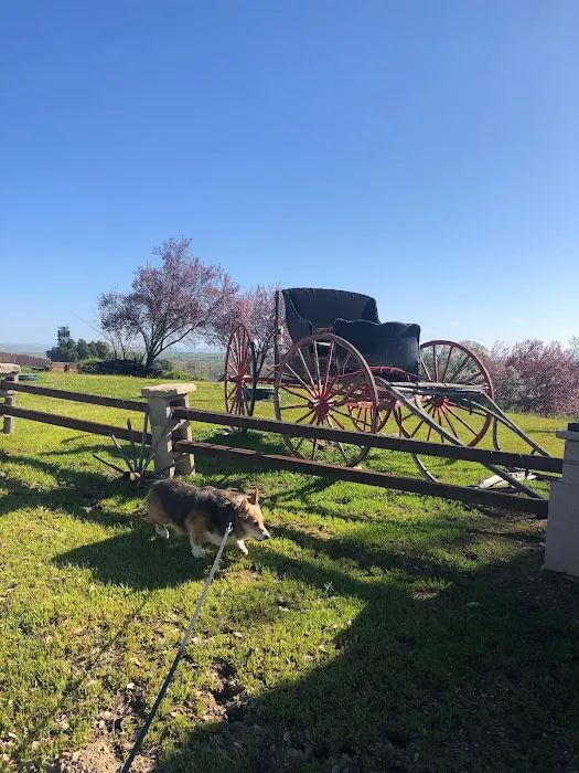 Paso Robles RV Ranch Picture 5