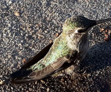 Meadowbrook Mobile Home Park