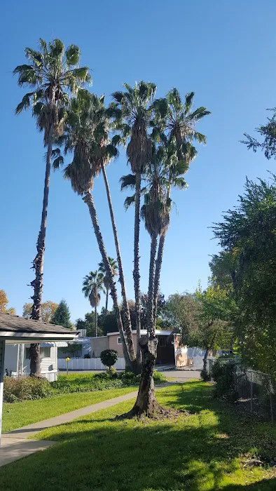 Bradshaw Mobile Home Park Picture 4