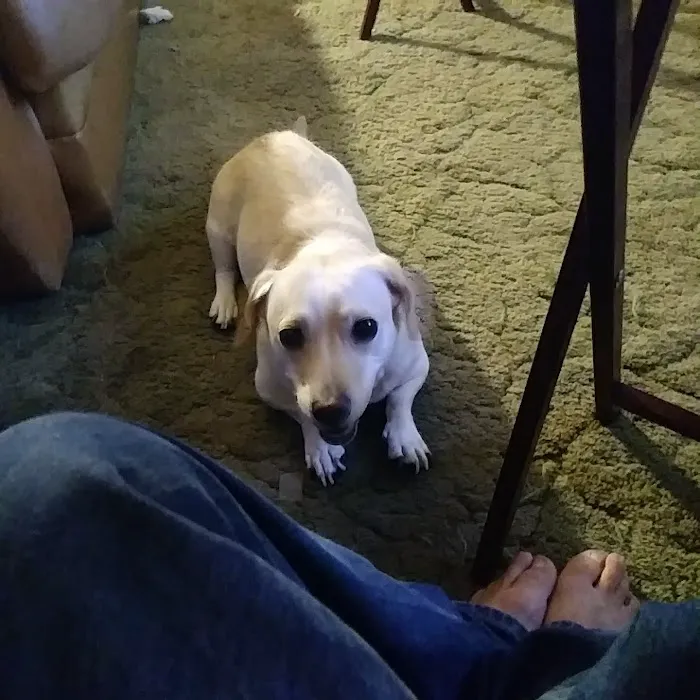 Bradshaw Mobile Home Park Picture 10