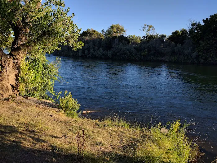 Cal Expo RV Park Picture 4