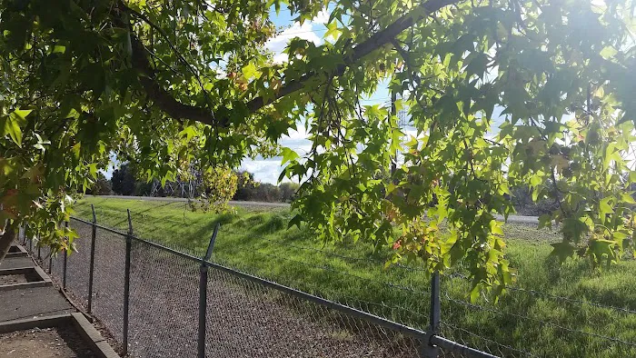 Cal Expo RV Park Picture 6