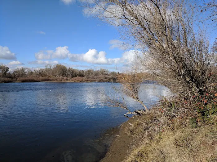 Cal Expo RV Park Picture 8