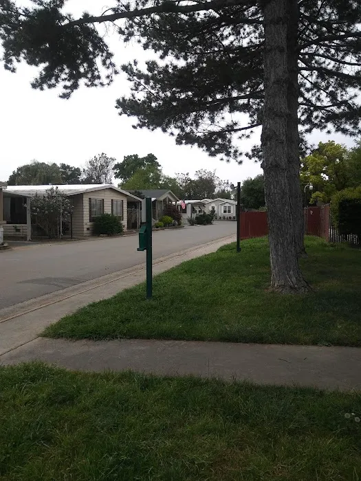 Briarwood Mobile Home Park Picture 4