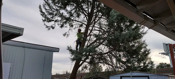 Centennial Estates Picture 3