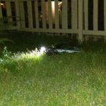 All Star Mobile Home Park