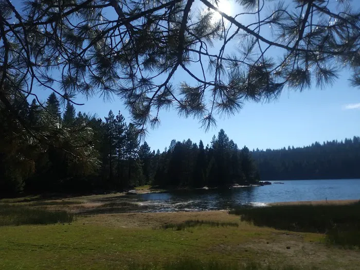 El Camino Mobile Home & RV Park Picture 4