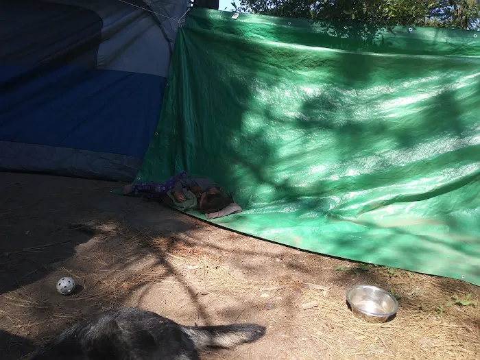 El Camino Mobile Home & RV Park Picture 5