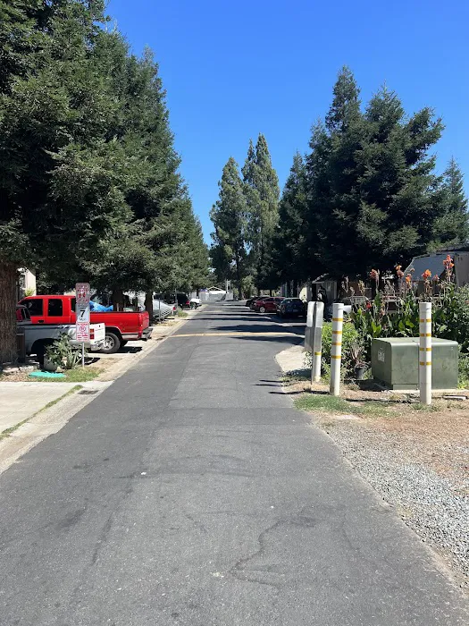 Redwood Capitol MHP Picture 7