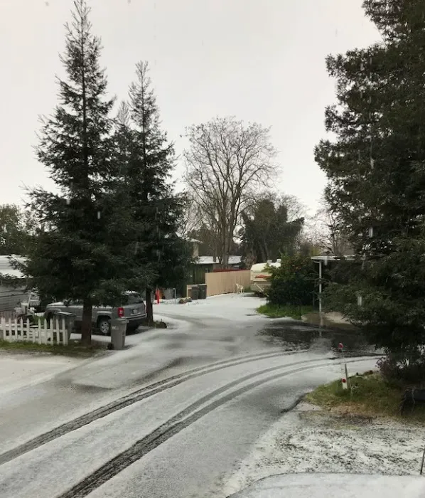 Redwood Capitol MHP Picture 9