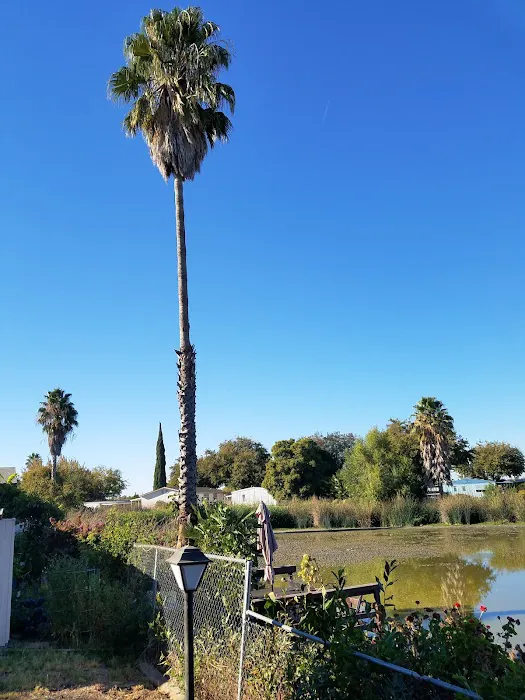 Valhalla Mobile Home Community Picture 7