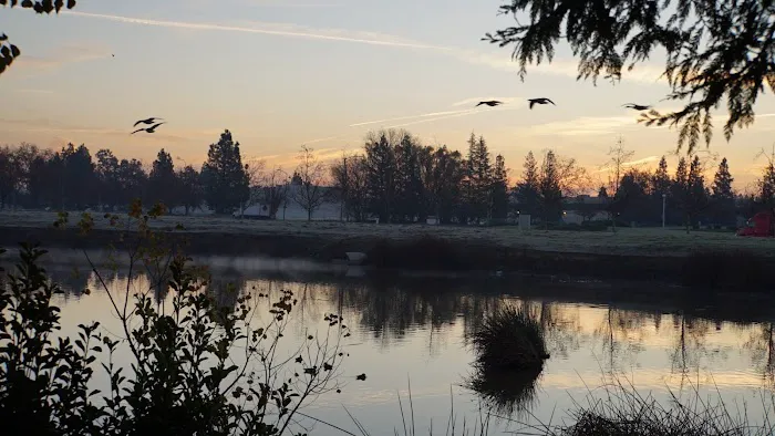 Valhalla Mobile Home Community Picture 5