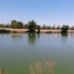 Valhalla Mobile Home Community