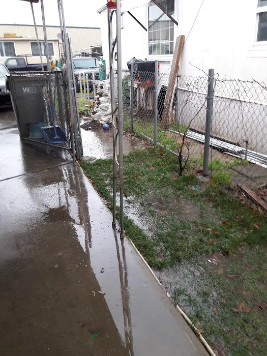 Capri Mobile Home Park Picture 3