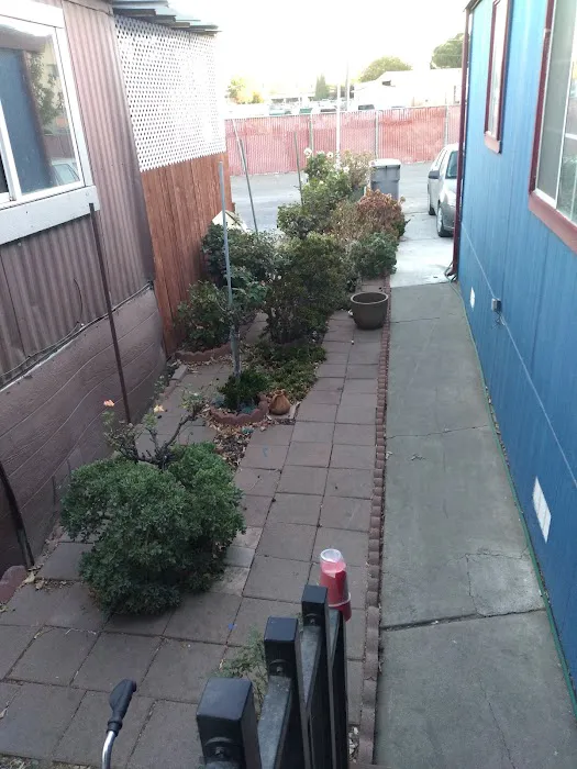 Capri Mobile Home Park Picture 10