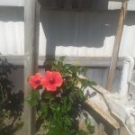 Bryte Mobile Home Park