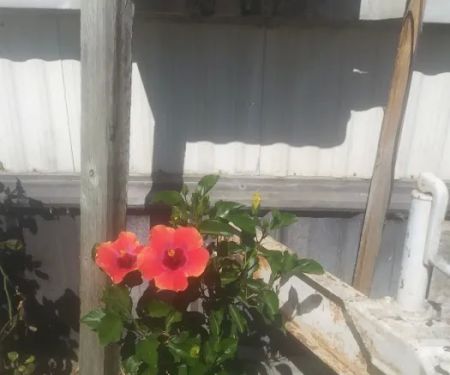 Bryte Mobile Home Park